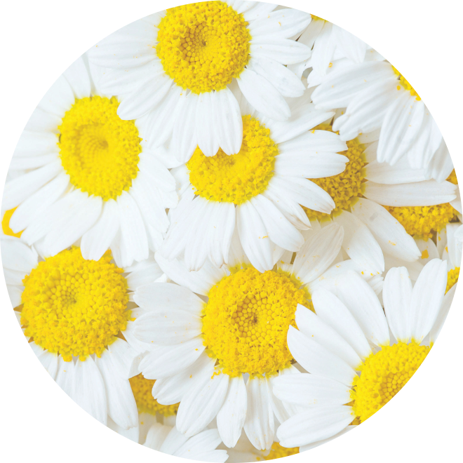 A Ingredient Image