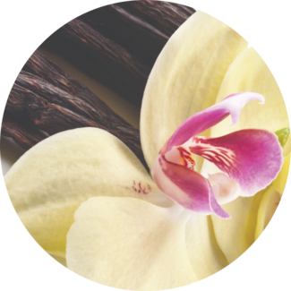 Ingredient Glossary - Vanilla