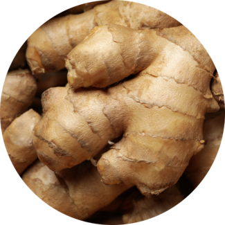 Ingredient Glossary - Ginger Root