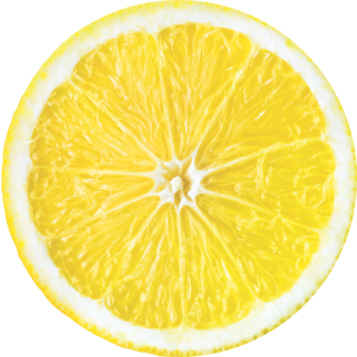 Fresh lemon slice