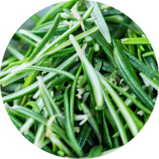 Rosemary needles